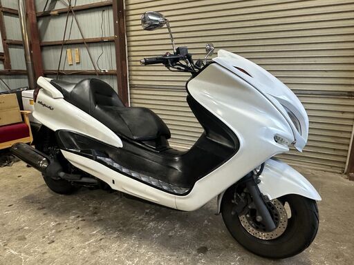 ⭕️マジェスティ250C⭕️ 5連メーター/パールホワイト/柏市
