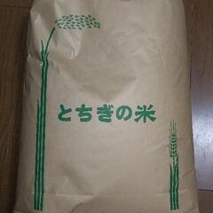 令和６年栃木県佐野市産 コシヒカリ 玄米 ３０キロ