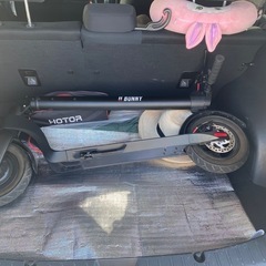 scooter bunny キックボード 