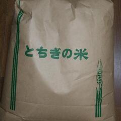 令和６年栃木県佐野市産 コシヒカリ 玄米 ２０キロ