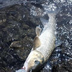 江戸川区で釣り