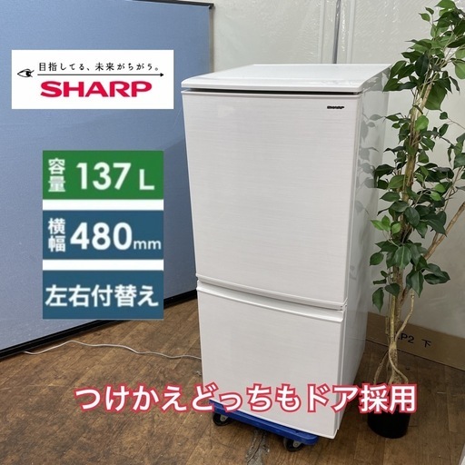 S364 ⭐SHARP 2ドア冷蔵庫（137L つけかえどっちもドア）18年製 SJ-D14D ⭐ 動作確認済 ⭐ クリーニング済