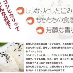 【数量限定】香川県産コシヒカリ新米　30kg