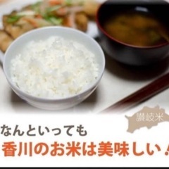 【数量限定】香川県産コシヒカリ新米　30kg