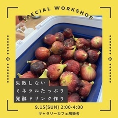 定期開催/自家製発酵ドリンク作り教室 in 斑鳩