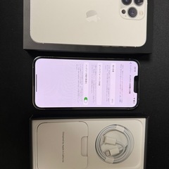 【利用制限◯】iPhone 13 pro max 512GB Silver