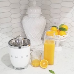 海外製　高級　ジューサー　ミキサー