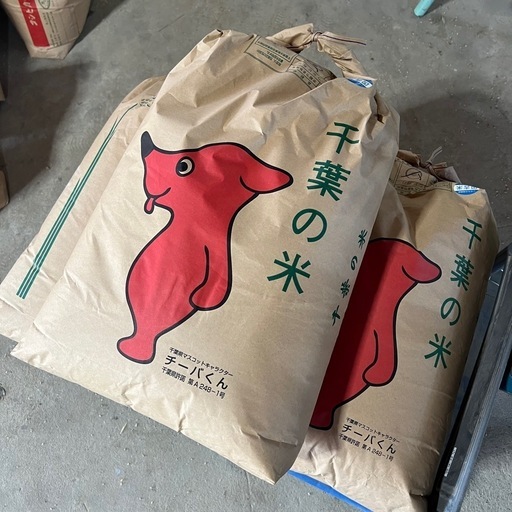 つくばみらい市産・新米 規格外のお米 玄米25kg 主にコシヒカリ