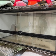 取引中。エキゾテラ　グラステラリウム　9045 爬虫類ケージ　　　　