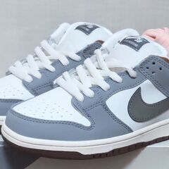 USED】26cm 堀米 雄斗(Yuto Horigome) × Nike SB Dunk Low Pro QS
