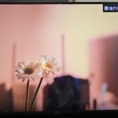 アイリスオーヤマ4K対応液晶テレビ 55UB10P