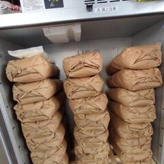 令和５年　空知産　ゆめぴりか　玄米　30ｋｇ　玄米保冷庫で保管