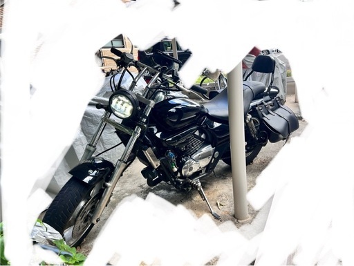 エリミネーター250v