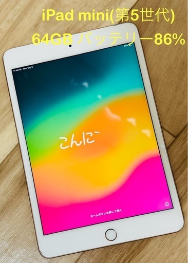 iPad mini 64GB WiFi セルラーモデル ゴールド