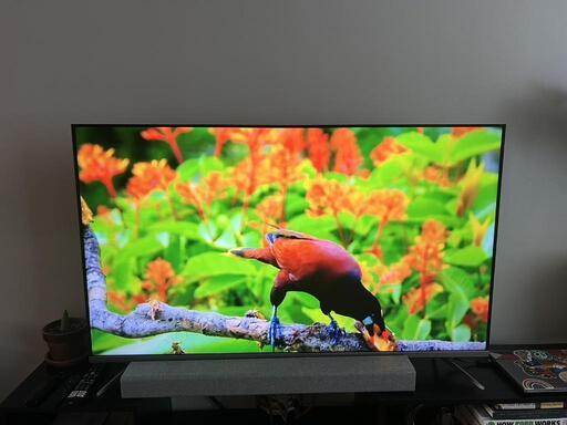 TCL 50インチテレビ2020年製