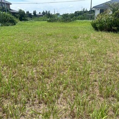 海にも買い物にも便利な茂原に近い住宅地（約46坪）