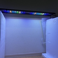 グラッシーウイング２　マリン　60㎝ ボルクスジャパン Grassy Wing2 60 Marine/マリン | チャーム