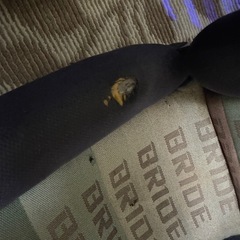 BRIDE セミバケ ブリックス？エルゴ？