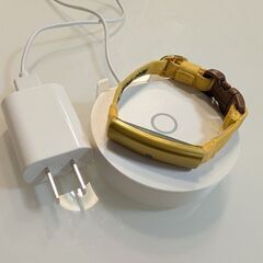 9/10,11限定 Catlog 首輪+ボード（定価2.8万）