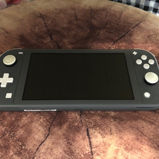 その他 Nintendo Switch Lite