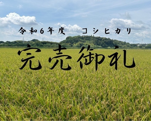 令和6年度コシヒカリは完売しました