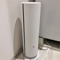 Panasonic  nanoeX