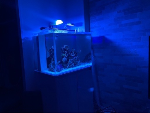 アクリルオーバーフロー、水槽