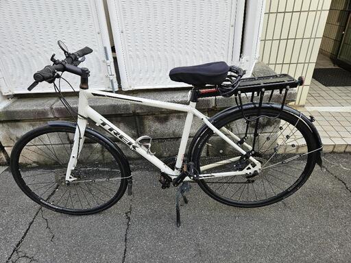 TREK FX3 DISK  Lサイズ  2019  トレック