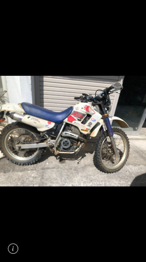 XL250 ディグリー