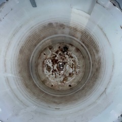 洗濯機クリーニング🧼✨