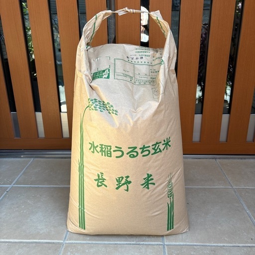 コシヒカリ米