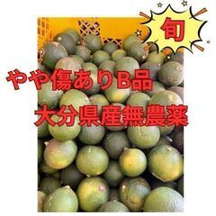 9/14（日）〜受け渡し可　無農薬　訳ありかぼす　1kg～大量に...