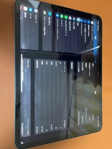 ipadpro11 Cellular やや訳あり　本日限り ipadpro11 Cellular やや訳あり 本日限り Apple iPad Pro 11インチ (M4