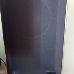 PIONEER ES-1000 1974年