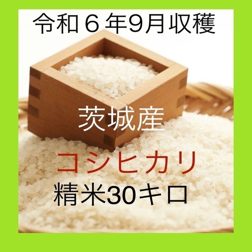 【令和６年】茨城県産　コシヒカリ　30kg（精米）