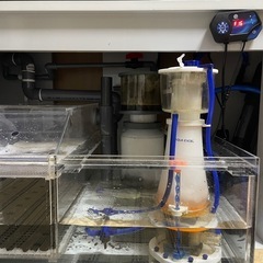 アクアエクセル　プロテインスキマー　Ec20