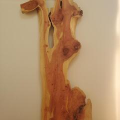 カイヅカイブキ こぶあり