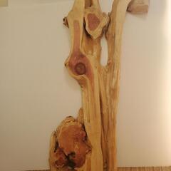 カイヅカイブキ こぶあり