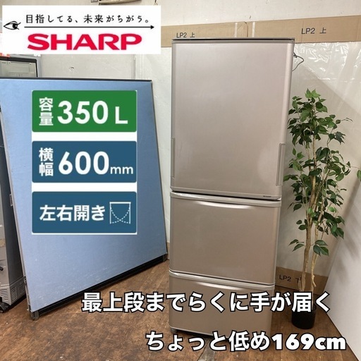 S714 ⭐ SHARP 3ドア冷蔵庫(350L 両開き）18年製 SJ-W352D ⭐ 動作確認済 ⭐ クリーニング済
