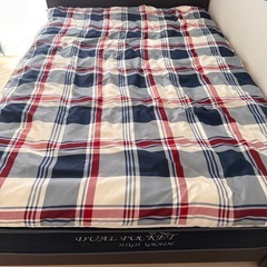 値下げ！　ニトリ　ダブルベッド・マットレス