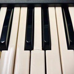 完動品ヴィンテージ  シンセサイザー KORG 800 DV 