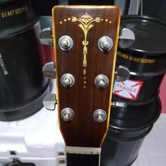 キャッツアイ、東海楽器。トーチインレイ