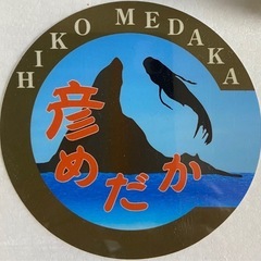 彦めだか茅ヶ崎　9月12日　改良めだか各種