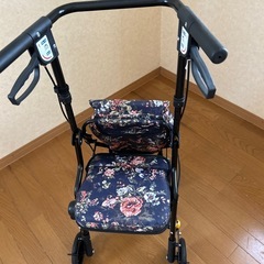 スイスイ歩けるおしゃれカート スイスイ歩けるおしゃれカート