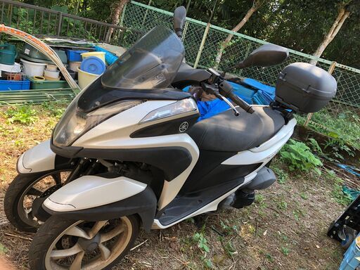 ヤマハ トリシティ 125 白（EBJ-SE82J） 【公式通販】