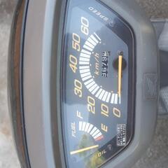 ボタンDio格安今日限定早い者勝ち