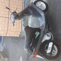 ボタンDio格安今日限定早い者勝ち