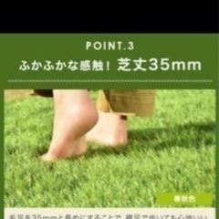 人口芝 1×10m 《最終値下げ