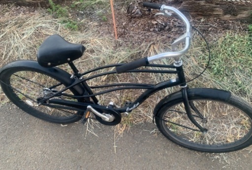 あまり見かけません。オシャレ自転車