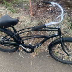 あまり見かけません。オシャレ自転車